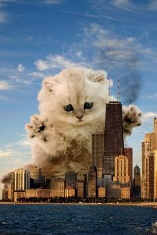 (via caitlinsue, abra-cat-dog-ra)