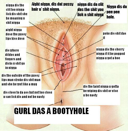 tanudra:  kyleelicious:  L M F A O , nigga learn yo’ shit hahahaha .  (via kinogotloveforthevaginalcrease)
