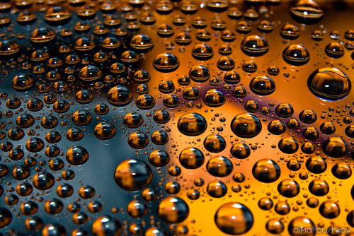 thevoicewithoutaface: Water drops by Dima Bushkov