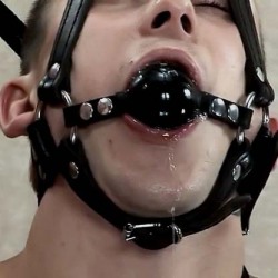 reconfetish:  nickbond30:  alex1pup3:  b1soco:  lockemeup:  youcanshutmeup:  fuckyeahslaveboy:  sexahboyz:  boy, but I want a dribble gag. kid-leather:  skyler007:  Slobbering around his ball gag! This is a really nice one, as it has head and chin straps