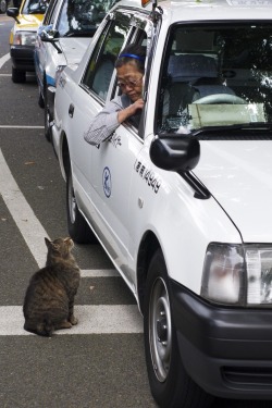 0mocha:  japanesesuburbia:  (via pr0nst4r69, nemoi)