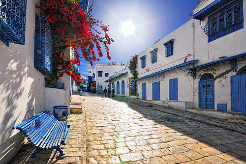 fuckyeahglobetrotters:  Sidi Bou Said, Tunisia (One of the most beautiful places