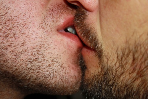 elniapo:  Kissing… 2  porn pictures