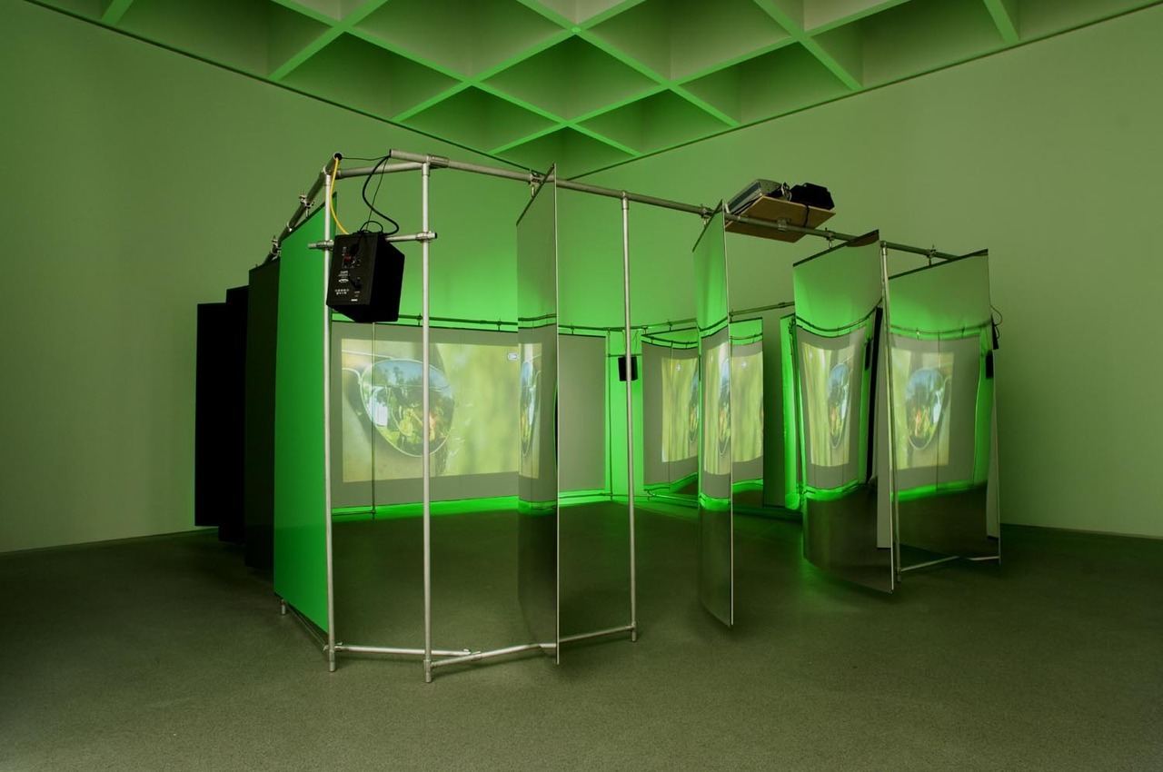 Diana Thater’s video installations…