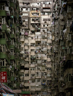 androphilia:  queerrilla:  (via liamjmoore, sobobone-drops)   &ldquo;Livin&rsquo; In Chaos&rdquo;