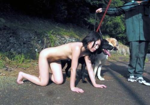 masterandpets:  eslittlewhitegirl:  What a good pet.  (via kinky-bdsm)