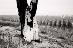 Council Grounds of the Great Treaty at Horse Creek, Scott&rsquo;s Bluff County, Nebraska photo by Drex Brooks, Sweet Medicine series, 1987