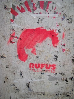 &ldquo;Why Rufus?&rdquo; photo by petrito
