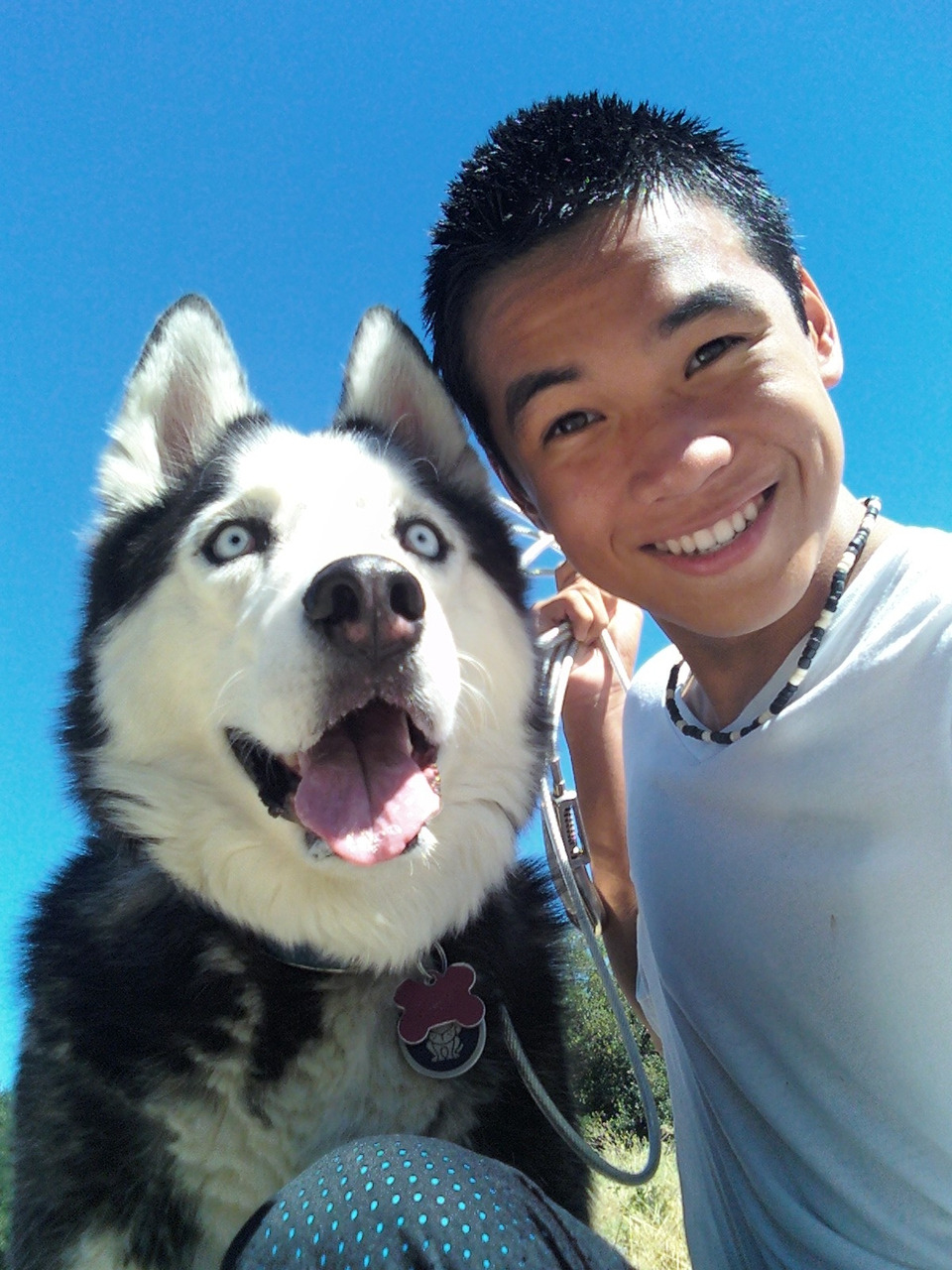 bay-lexii:  98660:  hello-matt:  0MFG yUZ LiiKEZ My D0GZ?!  im just gonna keep this