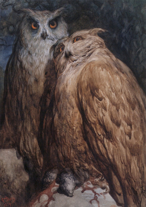 fat-birds:  animals-in-art:  guinilde:  Two Owls, Gustave Doré   this may be my favorite new 