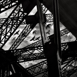 black-and-white:  STRUCTURE :: Photography