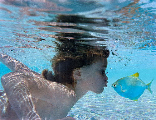 meia-noitedeamor.tumblr.com/post/5716632005/