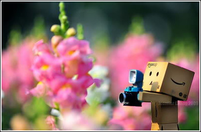 itschamchiituna:  like danbo i want to take up photography