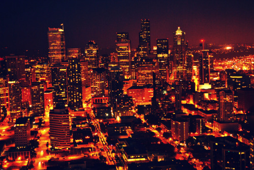 fuckyeahstreetlights:  Submitted: alsoknownaskemal.tumblr.com/