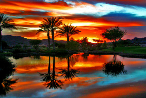 dangel799:  I love the colors. :)
