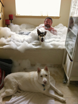 electricunderwear:  jtowncub:  malejunction:  wittymoniker:  bearstation:  grisser:  freefurall:  Now all the fur in the house smells like fruit :P   I love a man and his dogs. And Chris is no exception. :D   Great    Aww divinos