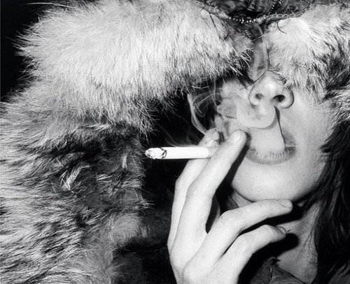 dreaming-of-molly:  knullade:  neonreef:  versace:  thekissfairy:  (via naiadd, animalist)