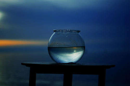hisuix: (via artpixie)