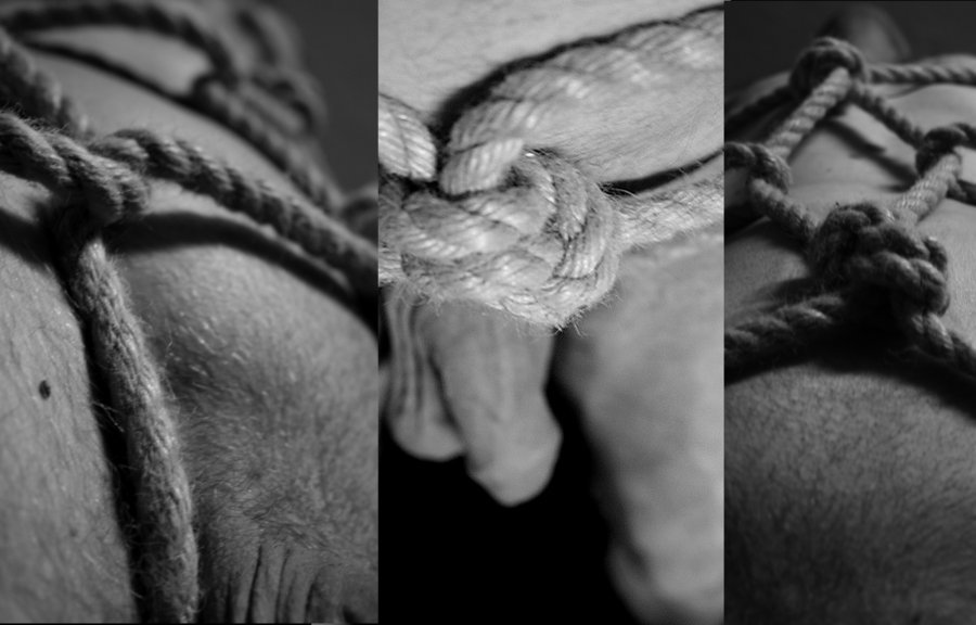 thumpersportfolio:  (via godsnmonsters)(via godsnmonsters-deactivated201008)