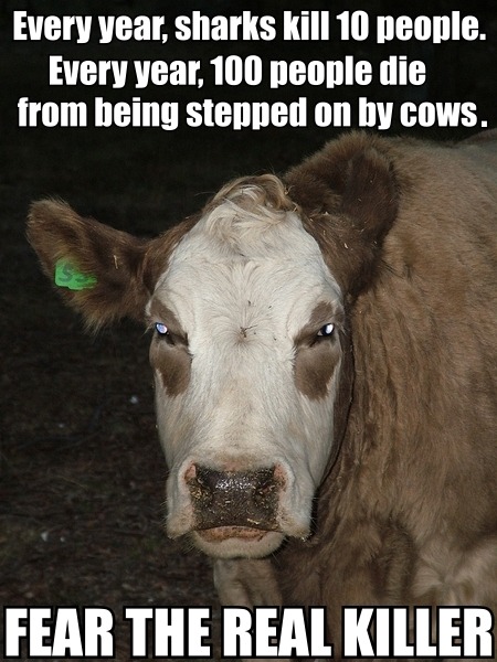 unbeknownstlove:  bedazzledhime:  (via justanuntoldtruth) 