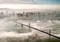 San Francisco in 100 years?