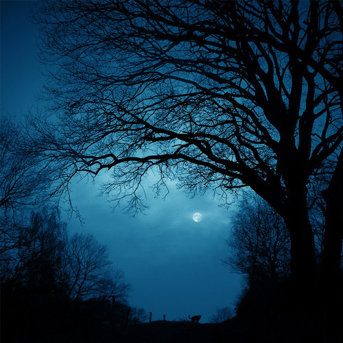 glamnoir:  dreamingviolet: (via b-e-a-utiful)   Okresu błękitnego początek.