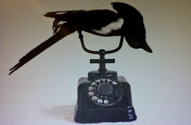 pinpricks:Polly Morgan (Deadringer) (viawindsweptribbons) You&rsquo;d get bad