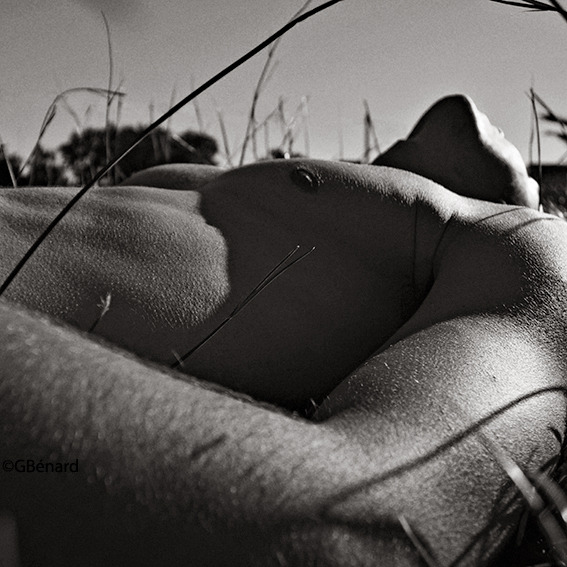 lokosdesnudos:  jihelle:(via not-1-800-flowers, gbenard)