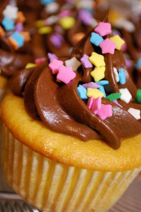 cupcakesoftheday:  vanilla cupcakes with a chocolate buttercreme frosting… topped