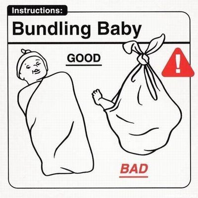 The Baby Manual