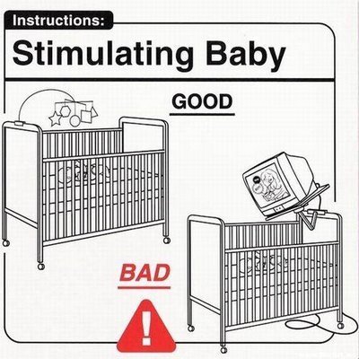 The Baby Manual