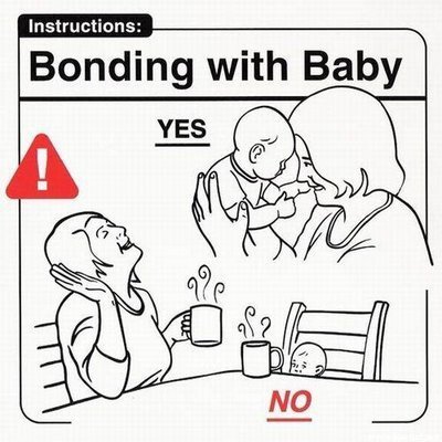 The Baby Manual