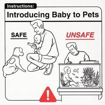 The Baby Manual