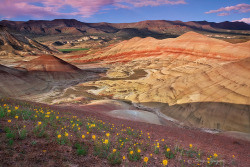 picture-perfect-world:  grey-sky-morning:  Painted Hills in central Oregon (by Long Nguyen)  