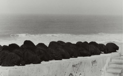 untitled photo by Shirin Neshat, rapture