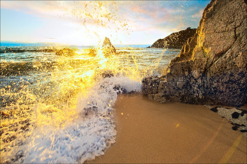 Golden Waves - Moss Beach, California © Maria