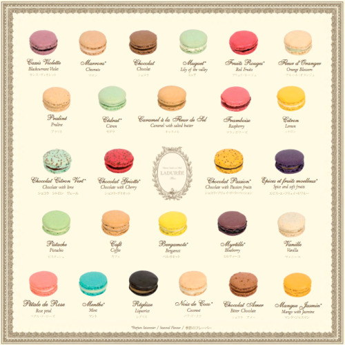 rosepetaltea:citylightsandsmokeyclouds:hermionejg:    (via boulangere)   