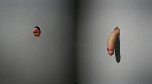 naggisch:  Wich One Do You Prefer?