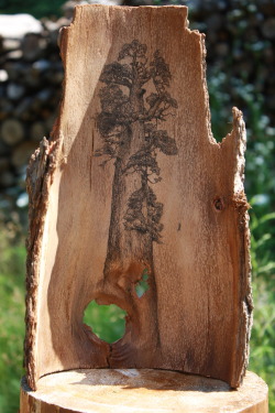 jonallenart:  Bark Art  Pen &amp; Ink on Hemlock bark, 2010  