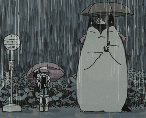 fuckyeahpokememe:  breakfastnook:  fuckyeahpokememe:  facesofcats:endless-selkies: