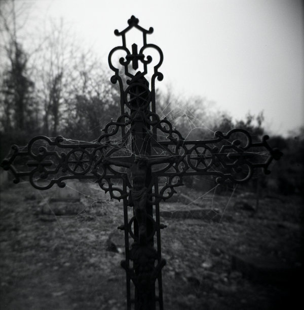 boundbyswordsandroses:  pathogenetic:  samanthareinhart:  bewitching:  (via sotona)