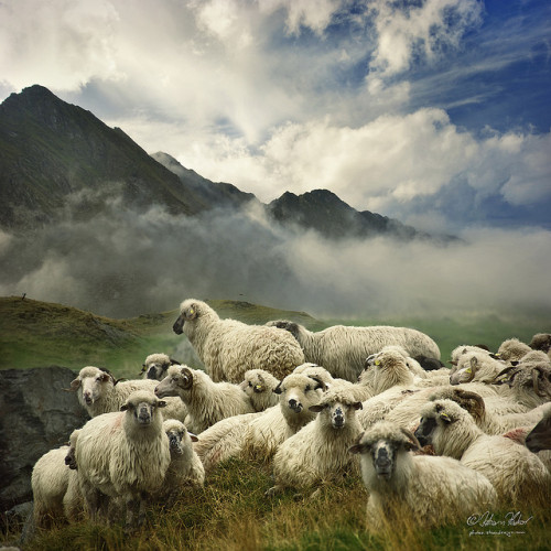 Fogaras Mountains, Romania © fesign