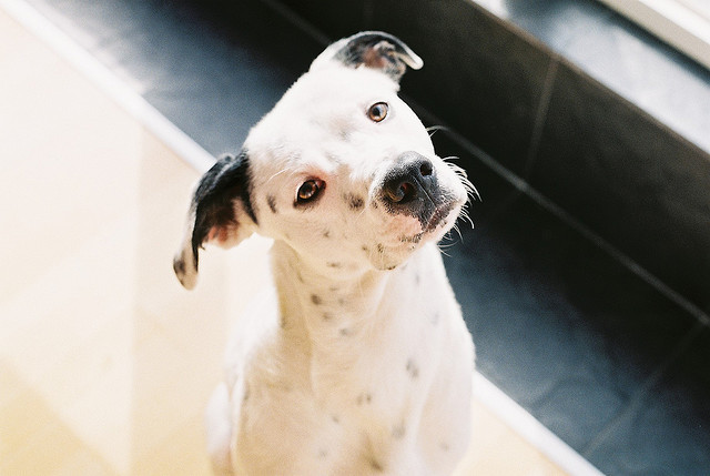 (via brainwashh) cute as fuck.