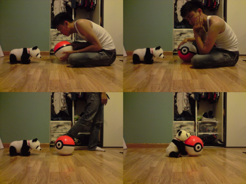 sirjoshizzle:  Panda bear doesn’t wanna go into his Poke Ball. :[ But oh, he likes it when I leave the room. Hmm.  (via sirjoshizzle)