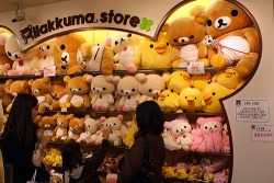 deerlike:  (via meekly, yayrilakkuma) 