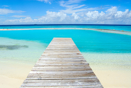 coral-oceans:  oceanic—dreams:  n-ativo:  mystical-mermaids:  (via h-ngloose, -cityoflove)    