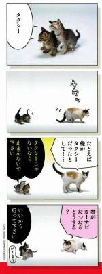 andi-b:  sakurasakuras:  uessai-text:  gemogemo:  mudo34:  わくてか速報 :
