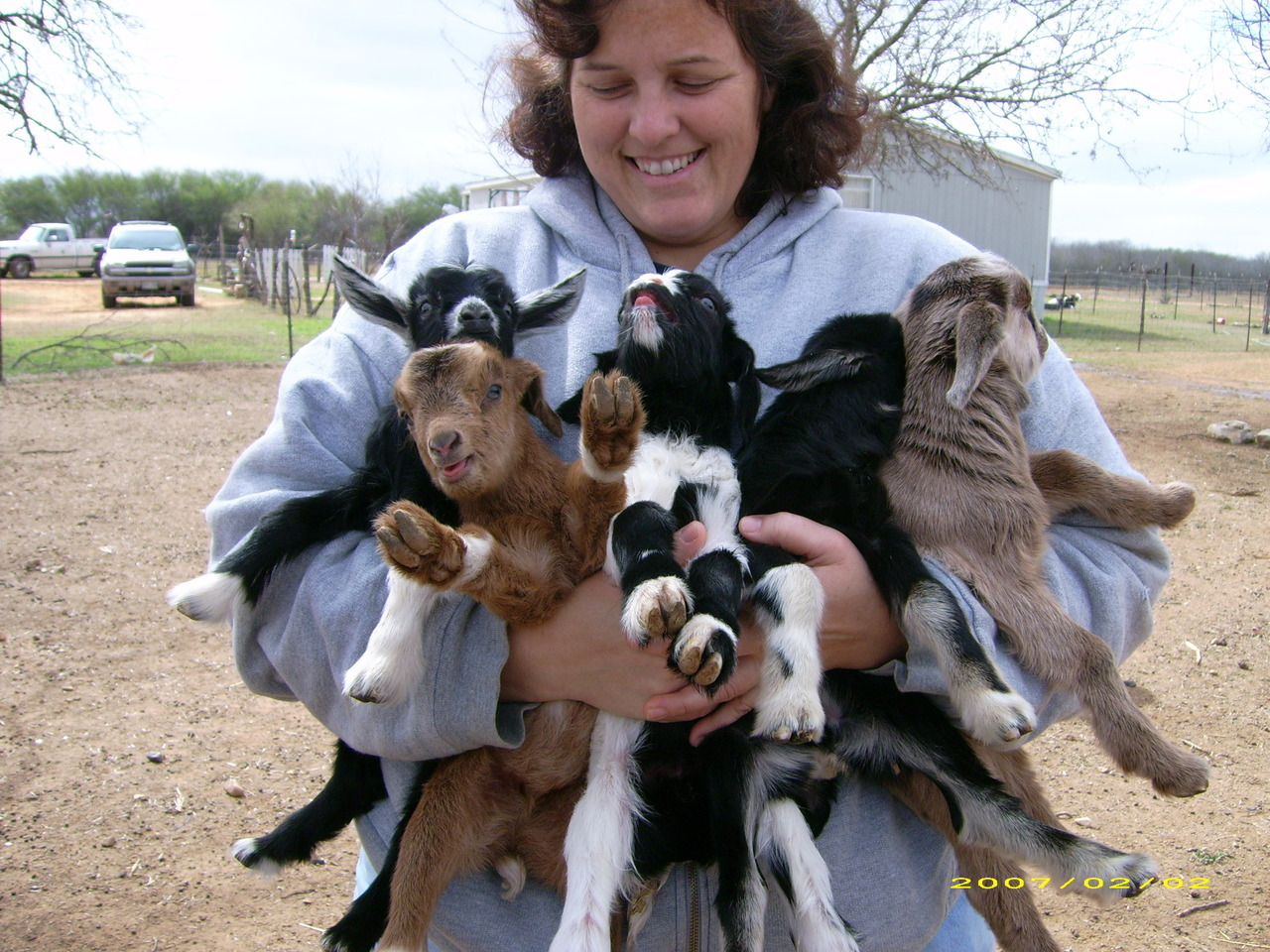 HAPPY FRIDAY THE 13TH have goats