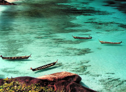Picture-Perfect-World:  -Cityoflove:  Similan Island, Phang Nga, Thailand  