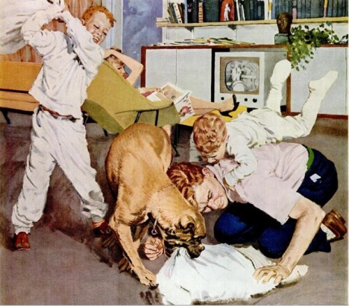 zoomar:A pack of wild gingers attack a dog.